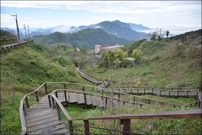 頂石棹櫻之道:走步道、賞櫻、看雲海 頂石棹櫻之道:走步道、賞櫻、看雲海