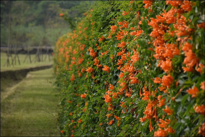 DSC_0060 DSC_0060