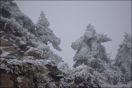 巧遇冰雪奇緣的武嶺和藍天綠地的清境 巧遇冰雪奇緣的武嶺和藍天綠地的清境