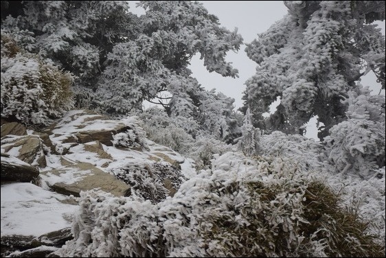 巧遇冰雪奇緣的武嶺和藍天綠地的清境 巧遇冰雪奇緣的武嶺和藍天綠地的清境