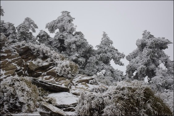 巧遇冰雪奇緣的武嶺和藍天綠地的清境 巧遇冰雪奇緣的武嶺和藍天綠地的清境