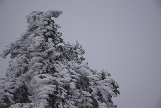 巧遇冰雪奇緣的武嶺和藍天綠地的清境 巧遇冰雪奇緣的武嶺和藍天綠地的清境