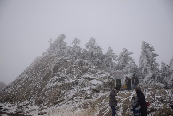 巧遇冰雪奇緣的武嶺和藍天綠地的清境 巧遇冰雪奇緣的武嶺和藍天綠地的清境