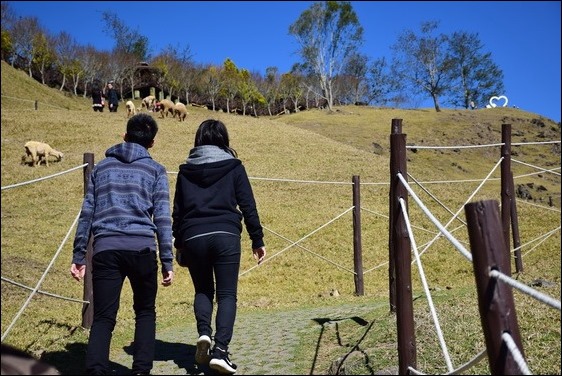 巧遇冰雪奇緣的武嶺和藍天綠地的清境 巧遇冰雪奇緣的武嶺和藍天綠地的清境