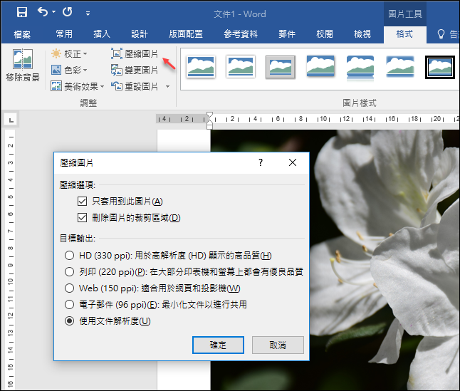 Word-將圖片不儲存於於文件中 Word-將圖片不儲存於於文件中