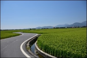 宜蘭伯朗大道感受稻香! 宜蘭伯朗大道感受稻香!