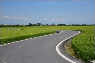 宜蘭伯朗大道感受稻香! 宜蘭伯朗大道感受稻香!