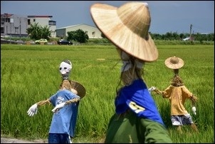 宜蘭伯朗大道感受稻香! 宜蘭伯朗大道感受稻香!