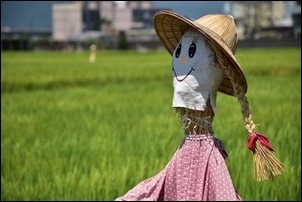 宜蘭伯朗大道感受稻香! 宜蘭伯朗大道感受稻香!