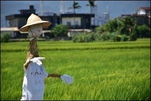 宜蘭伯朗大道感受稻香! 宜蘭伯朗大道感受稻香!