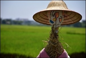 宜蘭伯朗大道感受稻香! 宜蘭伯朗大道感受稻香!