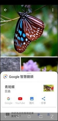 利用Google智慧鏡頭以人工智慧辦識物件