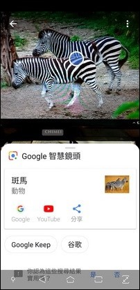 利用Google智慧鏡頭以人工智慧辦識物件