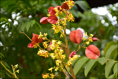 PowerPoint-圖片結合圖案、表格、Smart來製作效果 PowerPoint-圖片結合圖案、表格、Smart來製作效果