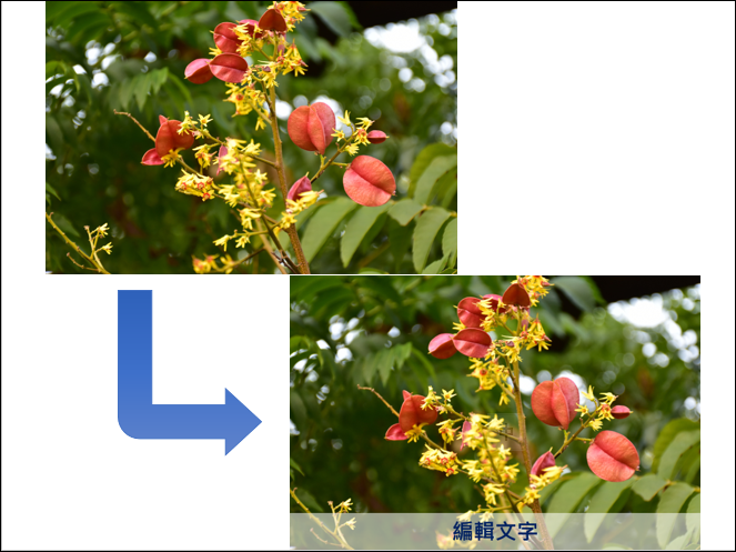 PowerPoint-圖片結合圖案、表格、Smart來製作效果 PowerPoint-圖片結合圖案、表格、Smart來製作效果