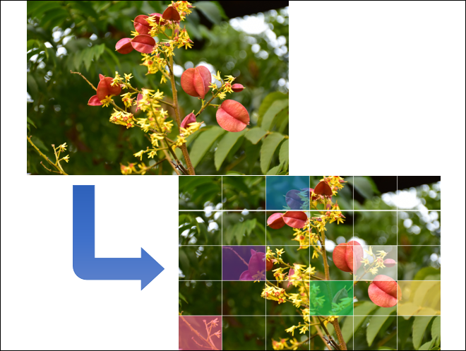 PowerPoint-圖片結合圖案、表格、Smart來製作效果 PowerPoint-圖片結合圖案、表格、Smart來製作效果