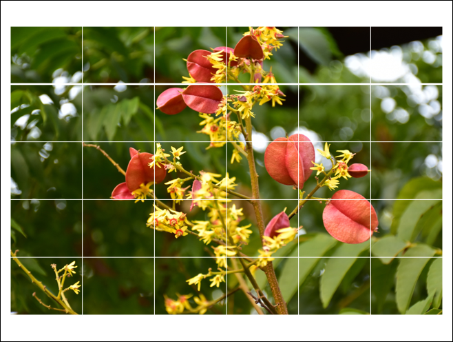 PowerPoint-圖片結合圖案、表格、Smart來製作效果 PowerPoint-圖片結合圖案、表格、Smart來製作效果