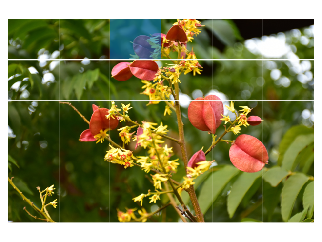 PowerPoint-圖片結合圖案、表格、Smart來製作效果 PowerPoint-圖片結合圖案、表格、Smart來製作效果