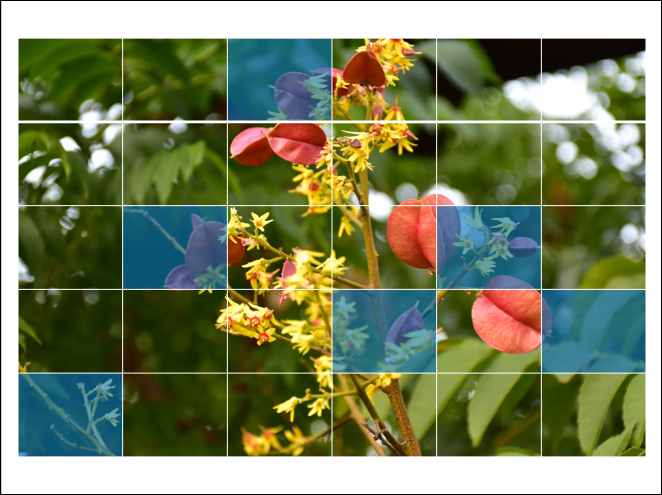 PowerPoint-圖片結合圖案、表格、Smart來製作效果 PowerPoint-圖片結合圖案、表格、Smart來製作效果