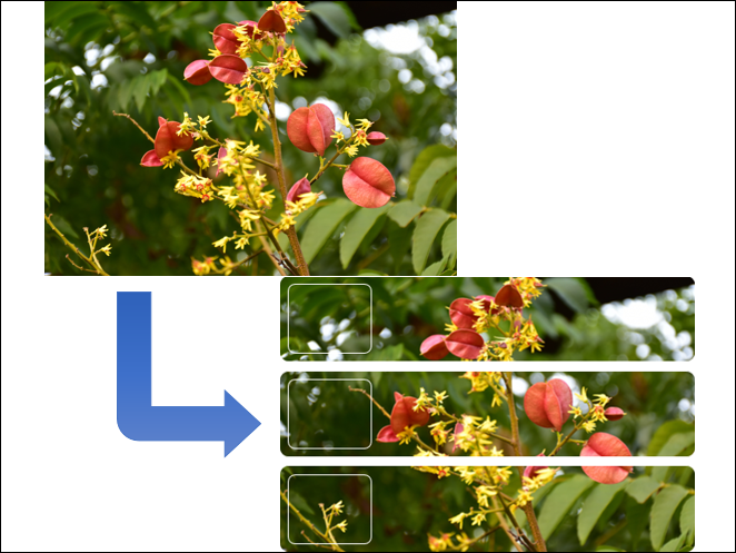 PowerPoint-圖片結合圖案、表格、Smart來製作效果 PowerPoint-圖片結合圖案、表格、Smart來製作效果