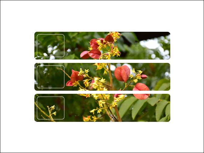 PowerPoint-圖片結合圖案、表格、Smart來製作效果 PowerPoint-圖片結合圖案、表格、Smart來製作效果