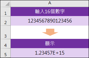 Excel-輸入超過15位數的數字(信用卡號)