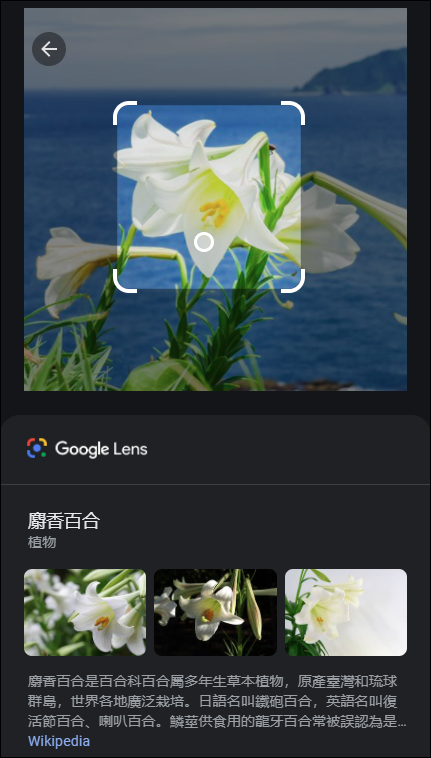 Google 圖片搜尋中使用Google Lens