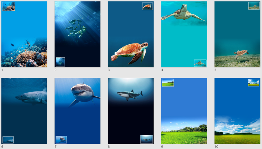 PowerPoint-如何將橫式圖片插入直式版面中融為一體 PowerPoint-如何將橫式圖片插入直式版面中融為一體