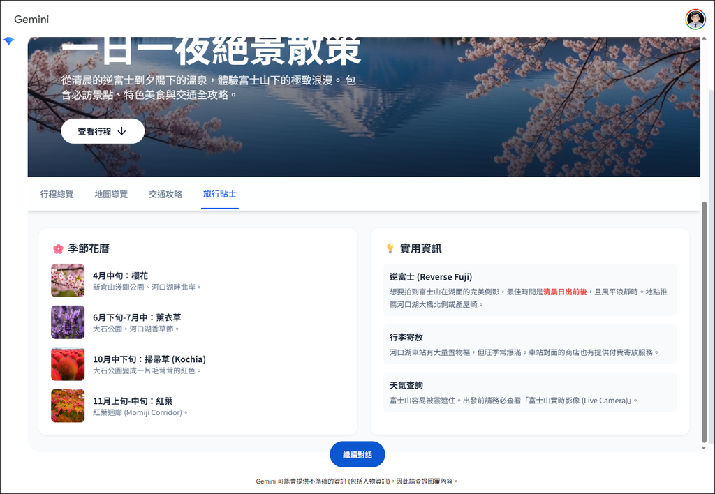 利用Gemini的動態檢視(實驗功能),做出視覺化和多媒體呈