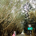A65C9432.jpg