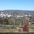 Armidale Drummond Memorial Park看Armidale