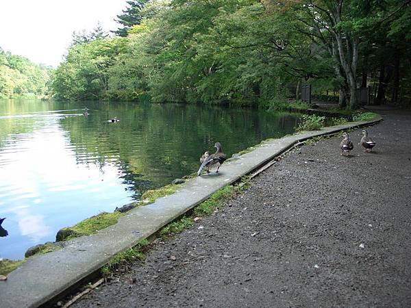 軽井沢 Karuizawa