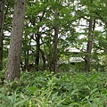 上高地 Kamikochi