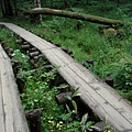 上高地 Kamikochi