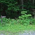 上高地 Kamikochi