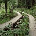 上高地 Kamikochi