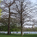 Photo-20100411-020- 海德公園 U.K..jpg