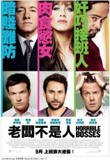 HORRIBLE BOSSES