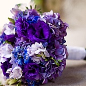 blue x purple decor 2.jpg