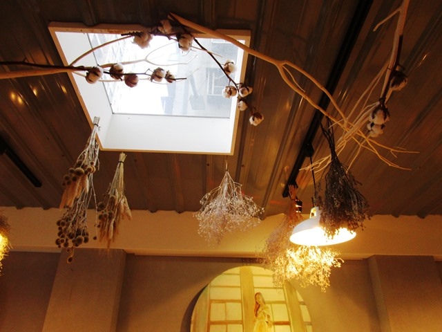 2017-1-12草泥咖啡 112.JPG 2017-1-12草泥咖啡 112.JPG