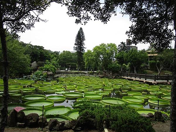 2017-9-4雙溪公園 012.JPG