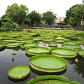 2017-9-4雙溪公園 003.JPG