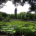 2017-9-4雙溪公園 012.JPG