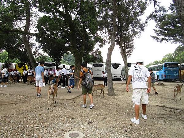 2018-8-27日本京阪神五日遊 050.JPG