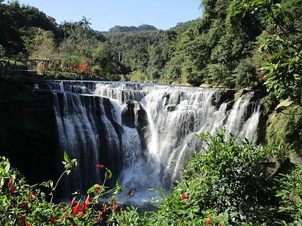 2019-12-13野事草店 580.JPG