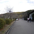 八坂神社後面的賞櫻公園