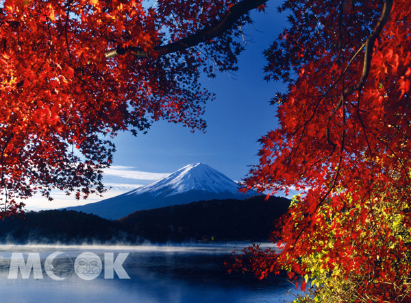 autumn05.jpg