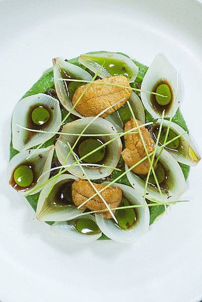 青蔥|洋蔥|大蔥 SCALLION|ONION|LEEK.jpg 青蔥|洋蔥|大蔥 SCALLION|ONION|LEEK.jpg