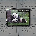 白白 美國寄來熊貓明信片