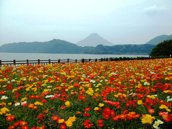 池田湖